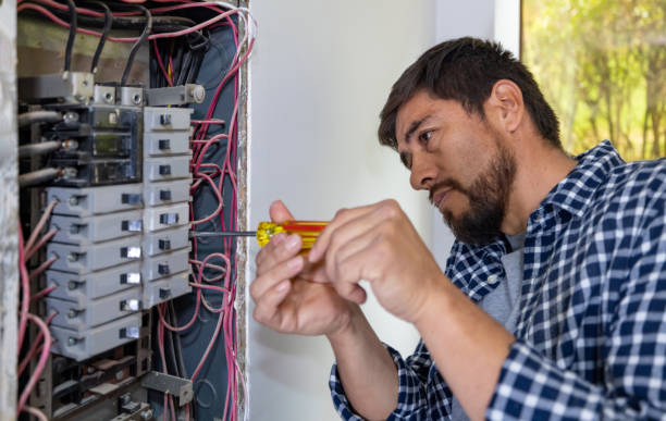 Best Electrical Rewiring Services  in Marlette, MI